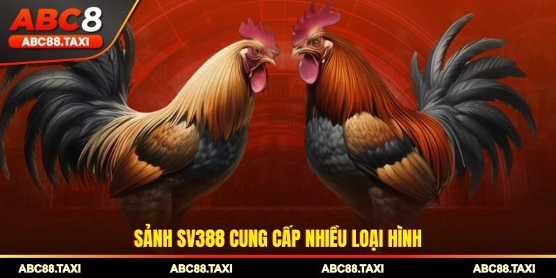 Sảnh SV388 cung cấp đa dạng loại hình